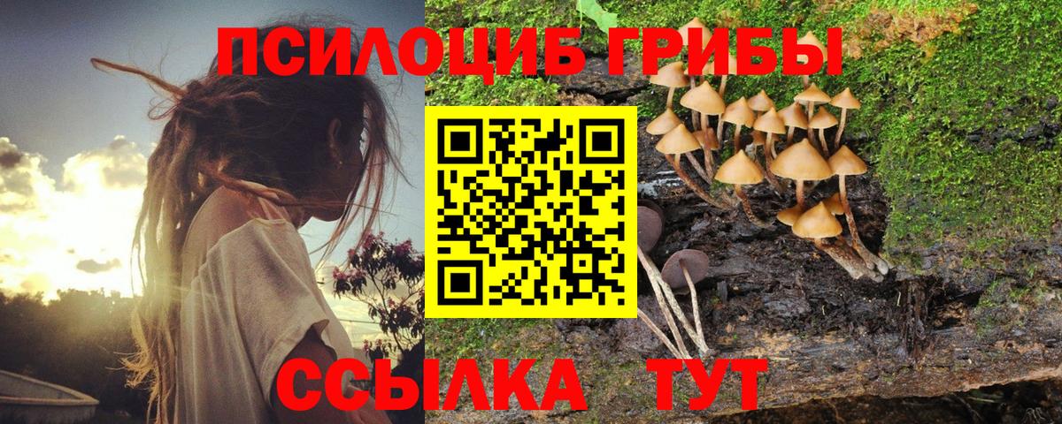 Псилоцибиновые грибы MAGIC MUSHROOMS Сатка